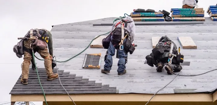 Three roofers in safety harnesses install shingles on a house roof, surrounded by materials and tools.